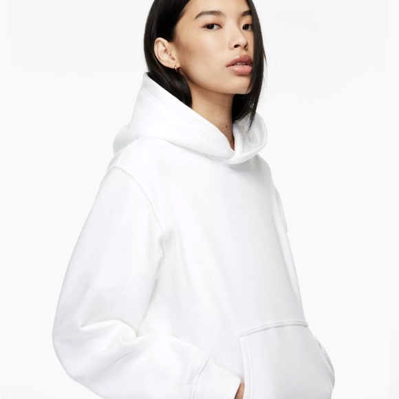 Aritzia Tops - Aritzia Oversized Hoodie